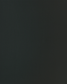 [B4099]Bainbridge Nightshade 32