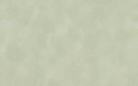 [C87133]Crescent Dusty Green 40x60