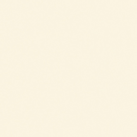 [A6201]Artique Rag Down 32