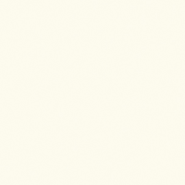 [A6208]Artique Rag Seashell 32