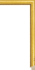 [206180]Hudson Gold 7/8