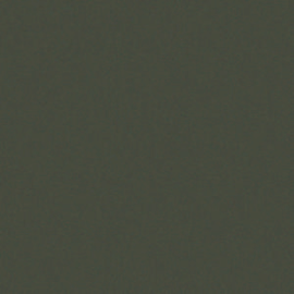 [A4853]Artique Olive 32