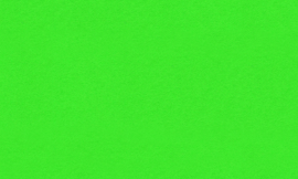[C9872]Crescent Irish Green 32x40