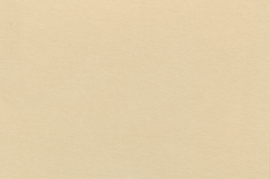 [C25706]Crescent Tan 32x40