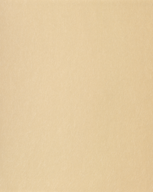 [B4008]Bainbridge Gold Dust 32