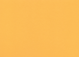 [B8272]Bainbridge Goldenrod 32