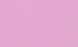 [C909]Crescent English Rose 32x40
