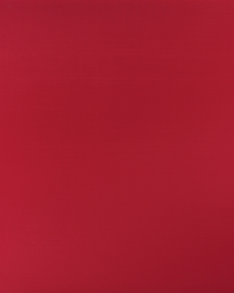 [B4838]Bainbridge Dynasty Red 32