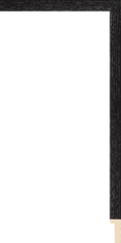 [115-500A]Museum Stems Black Ash 1/2