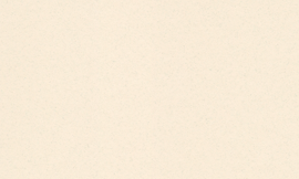 [C61028]Crescent Spice Ivory 32x40