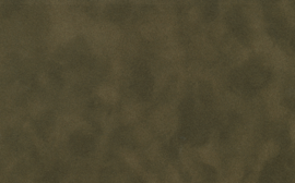 [C87182]Crescent Bronze 40x60