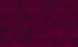 [C5503]Crescent Berry 32x40
