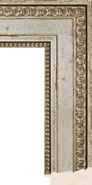 Salon 1789 Versailles Silver 3