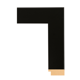 [BW74-405]Framerica Gallery Black 2