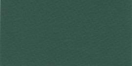 [C89877]Crescent Midnight Green 40x60