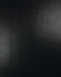 [B8321L]Bainbridge Brushed Onyx Sable 40