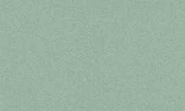 [C63311]Crescent Granite 32x40