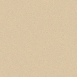 [A84153]Artique Birch 40