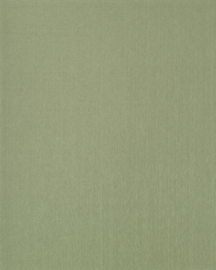 [B4027]Bainbridge Gauguin Green 32