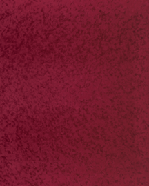 [B4180]Bainbridge Cabernet 32