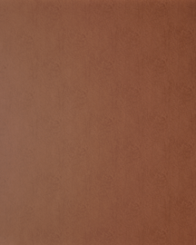 [B8254]Bainbridge Cowhide Leather 32