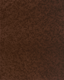 [B4153]Bainbridge Jacana 32