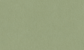 [C1709]Crescent Light Umbria 32x40