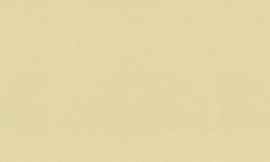 [C5706]Crescent Tan 32x40