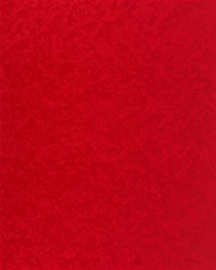 [B4223]Bainbridge Blaze 32