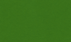 [CSRM1045]Crescent Grass Green 32x40