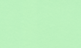 [C9536]Crescent Frond 32x40