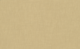 [C85520]Crescent Classic Beige 40x60