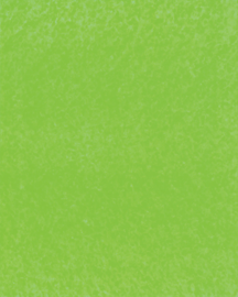 [B4231]Bainbridge Cybergreen 32