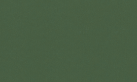 [C9533]Crescent Bonsai 32x40