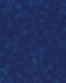 [B4236]Bainbridge Blueberry 32x40