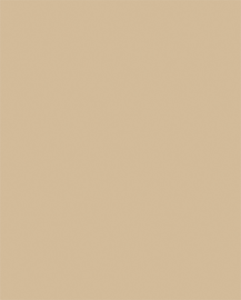 [B12009]Bainbridge Camel 32