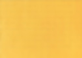 [BE4692P]Bainbridge Bright Yellow 32