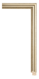 [300CS]Vienna Silver 1