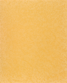 [B4221]Bainbridge Sundrenched 32