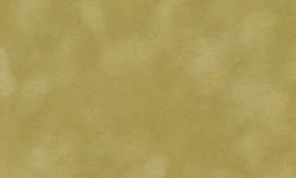 [C87102]Crescent Dune 40x60