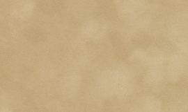 [C87136]Crescent Le Beige 40x60