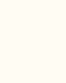 [BTM8559]Bainbridge Photo White 32