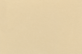[C21104]Crescent Antique Tan 32x40