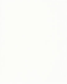 [B4104]Bainbridge White 32