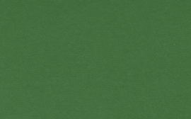 [C89820]Crescent Forest Green 40x60