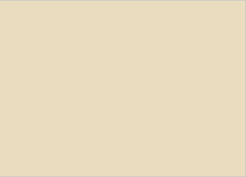 [B8714]Bainbridge Conservation Basics Solids, Buff 32