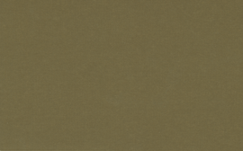 [C89826]Crescent Mocha Green 40x60