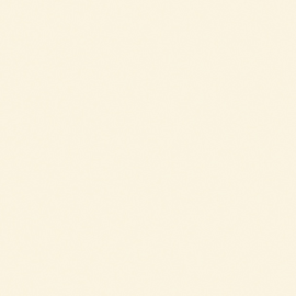[A86201]Artique Rag Down 32
