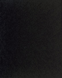 [B4165L]Bainbridge Coal 40