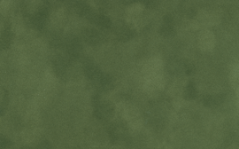 [C87190]Crescent Olive 40x60